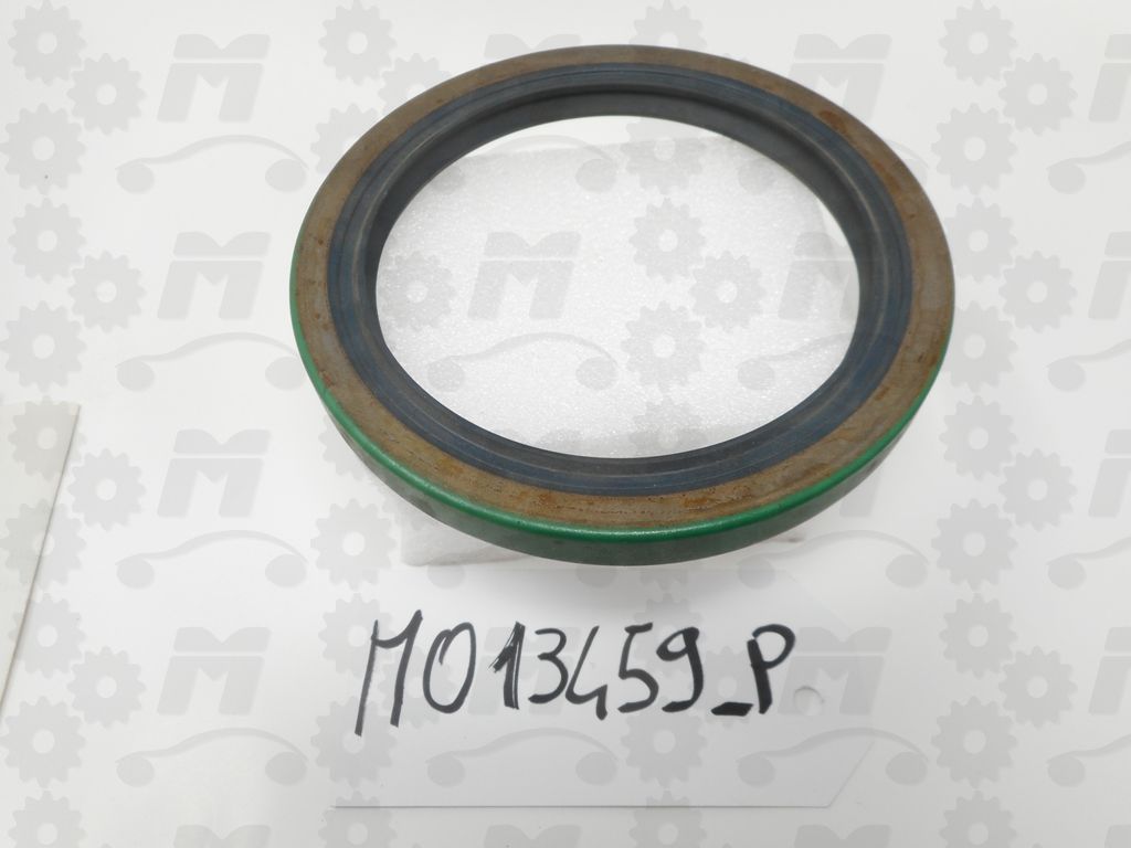 Mo13459_P